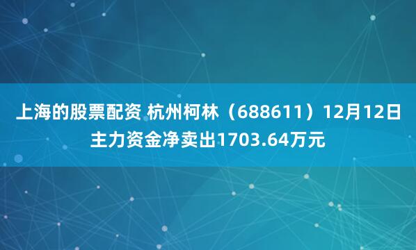 上海的股票配资 杭州柯林（688611）12月12日主力资金净卖出1703.64万元